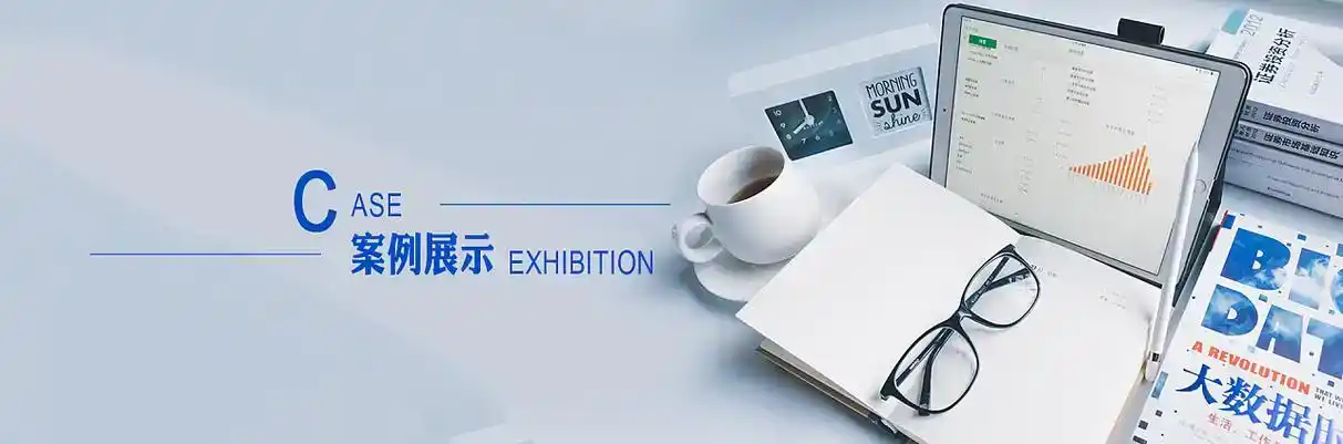 枣阳市软件开发